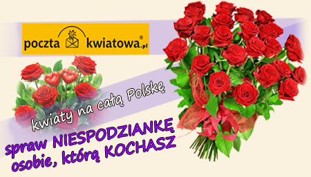 kwiaciarnia_zamosc_peonia_poczta_kwiatowa